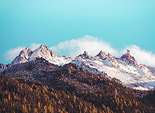 开云体育app-中共中央、国务院贺电！